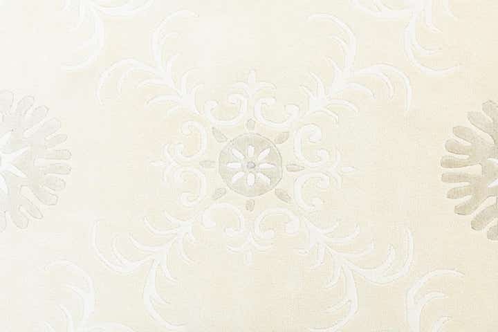 5' 5 x 8' Hand Knotted Darya Wool Rug