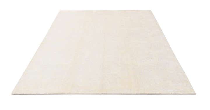 5' 9 x 8' Darya Rug