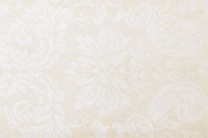 5' 9 x 8' Darya Rug