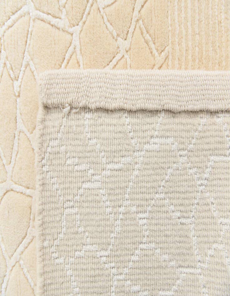 Detail image of 6' 8 x 9' 2  Hand Knotted Darya Rug