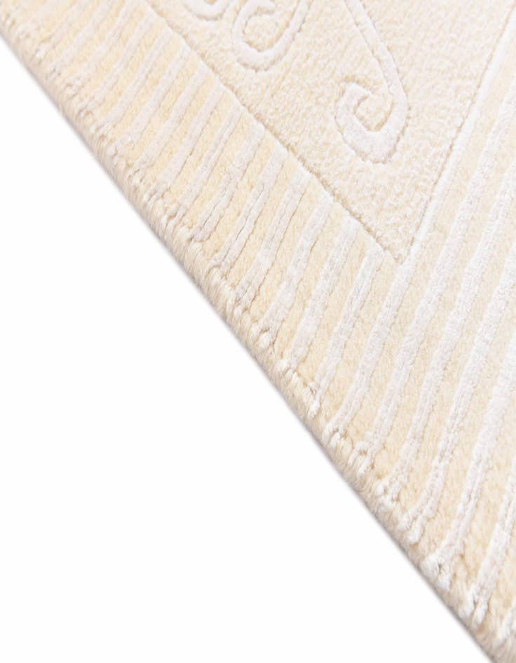 Detail image of 2' 8 x 4' 11  Hand Knotted Darya Rug