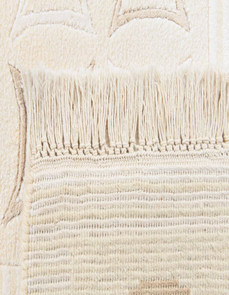 Detail image of 2' 8 x 4' 11  Hand Knotted Darya Rug