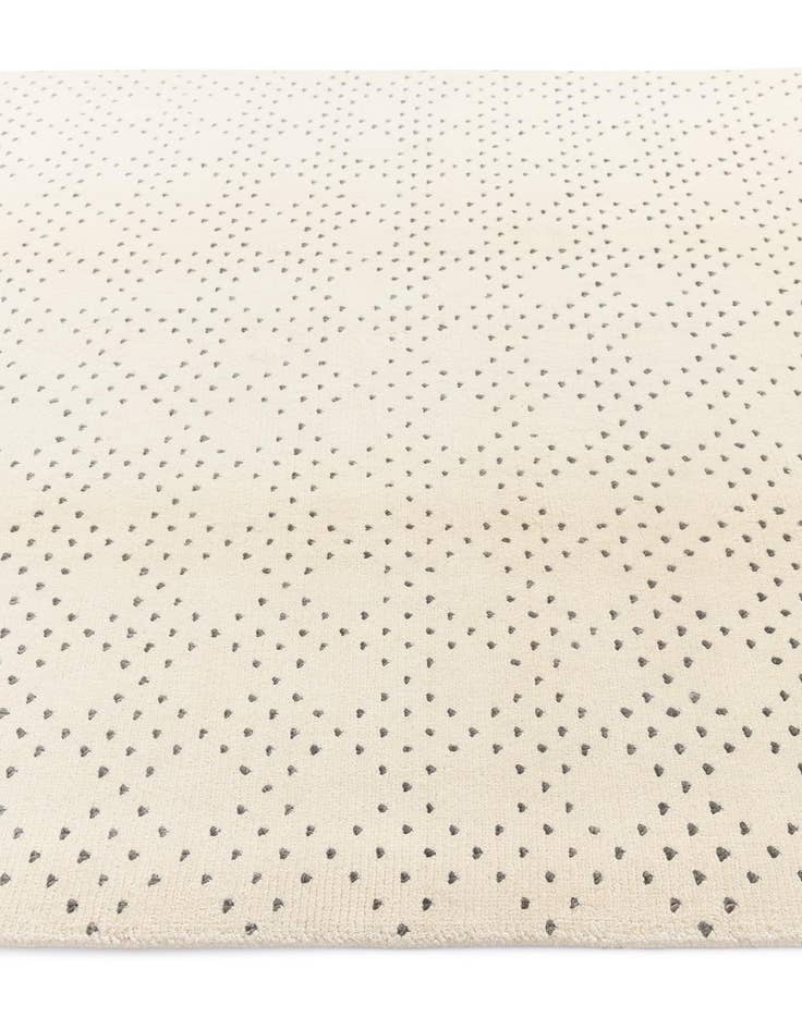 Detail image of 5' 7 x 7' 11 Darya Rug