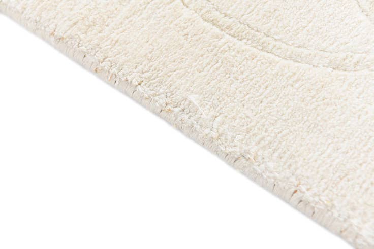 Detail image of 3' 11 x 5' 10 Darya Rug