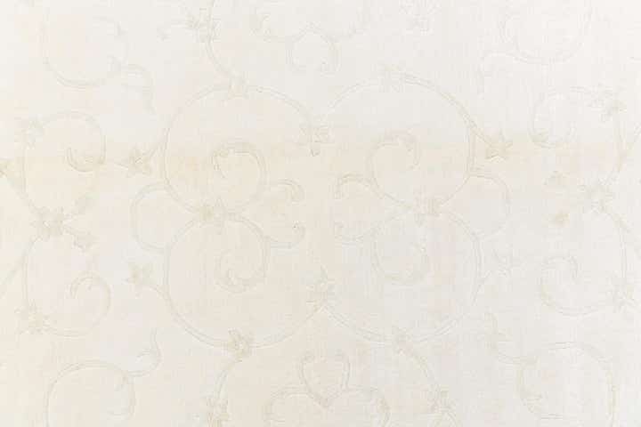 3' 11 x 5' 10 Darya Rug