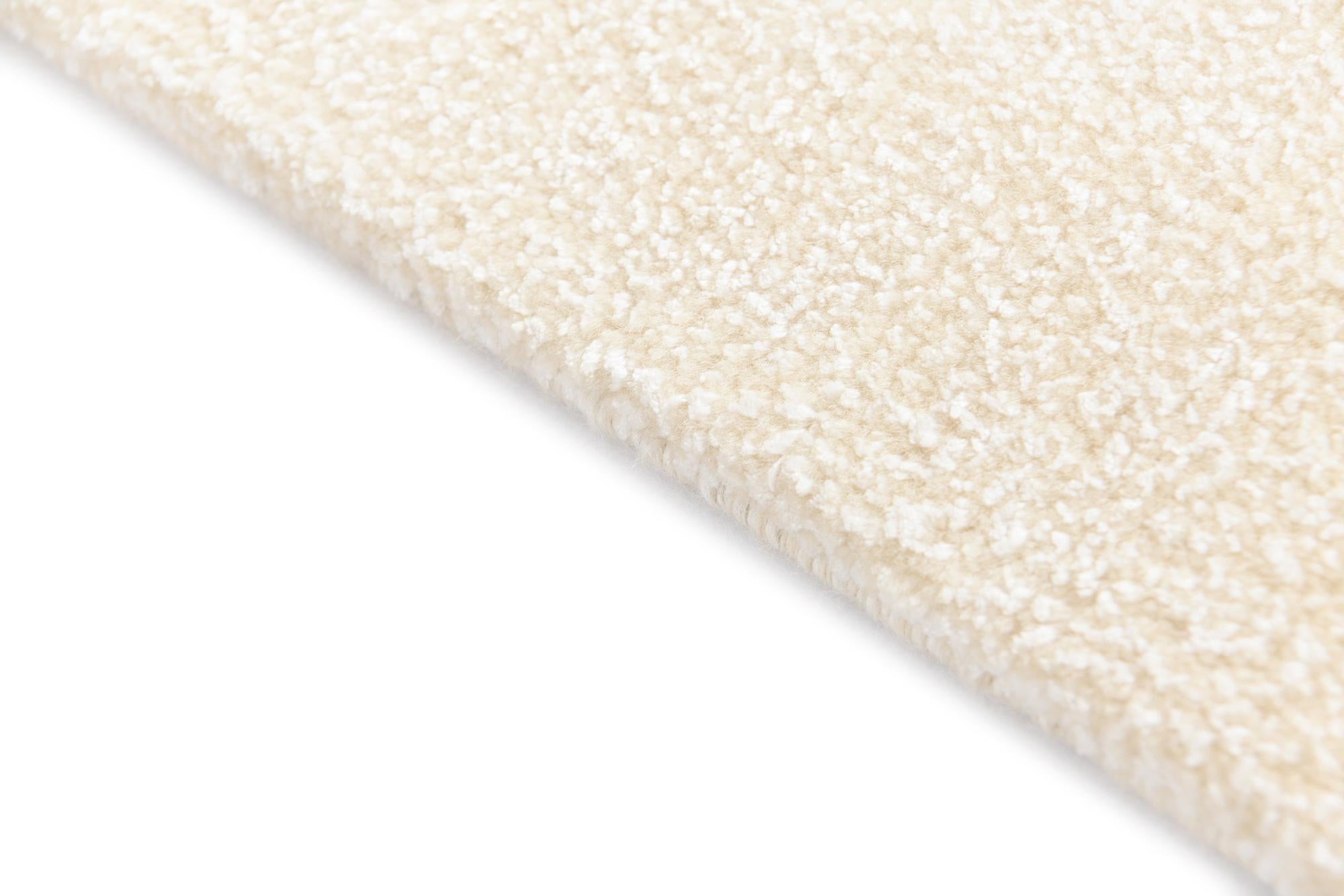 4' x 6' Darya Rug