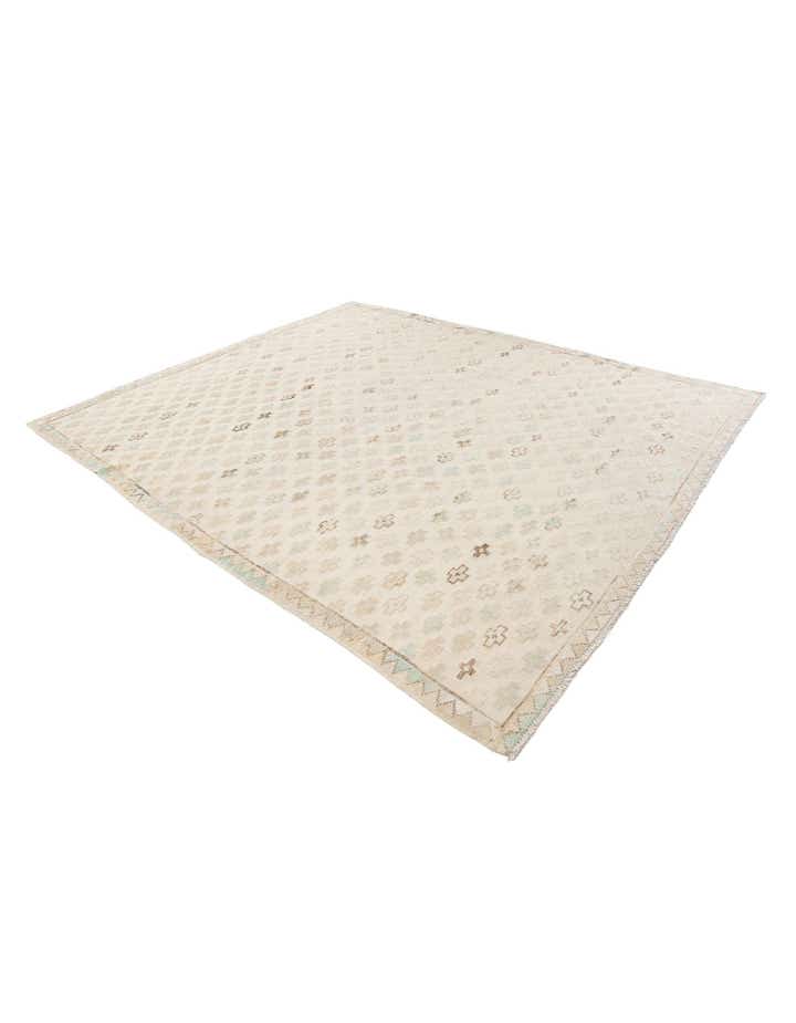 8' 5 x 9' 7 Hand Knotted Darya Wool Rug