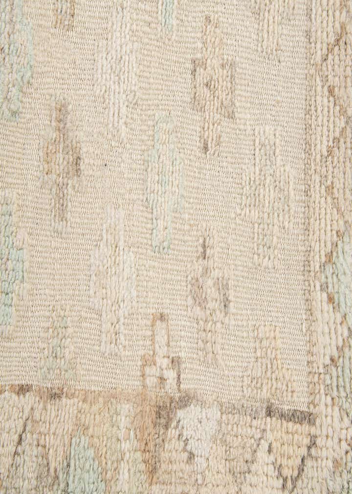 8' 5 x 9' 7 Hand Knotted Darya Wool Rug