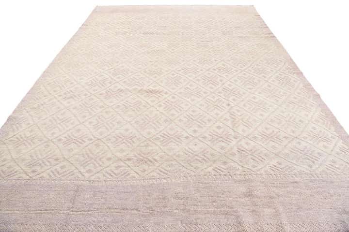 8' 10 x 13' Hand Knotted Darya Wool Rug