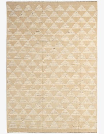 6' 5 x 9' 2 Hand Knotted Darya Wool Rug
