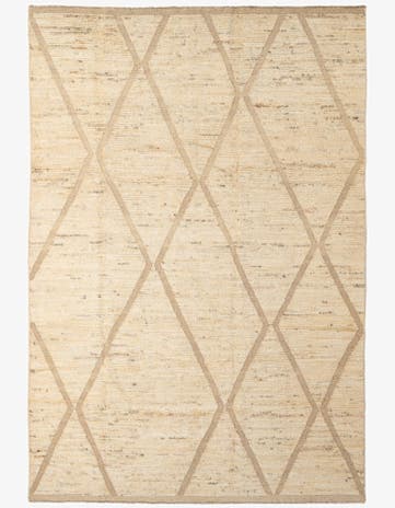 6' 10 x 10' Hand Knotted Darya Wool Rug