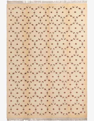 8' 2 x 11' 6 Hand Knotted Darya Wool Rug