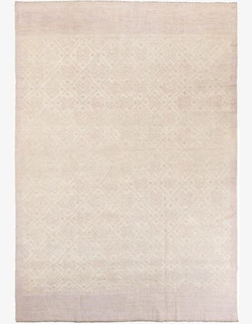 8' 10 x 13' Hand Knotted Darya Wool Rug