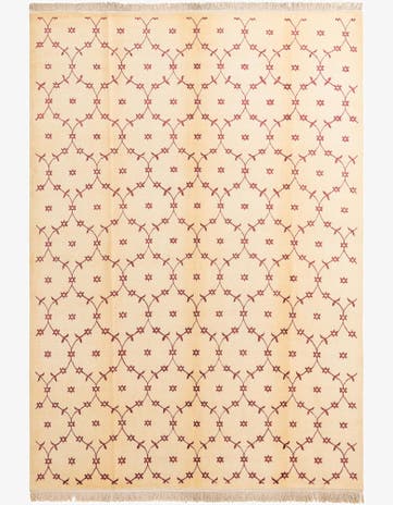 8' 2 x 11' 6 Hand Knotted Darya Wool Rug