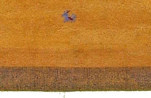 5' 7 x 8' Hand Knotted Gabbeh PastInv Wool Rug