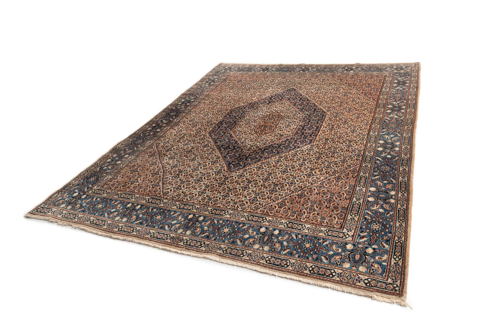 8' 10 x 11' 6 Kashmar Wool Rug