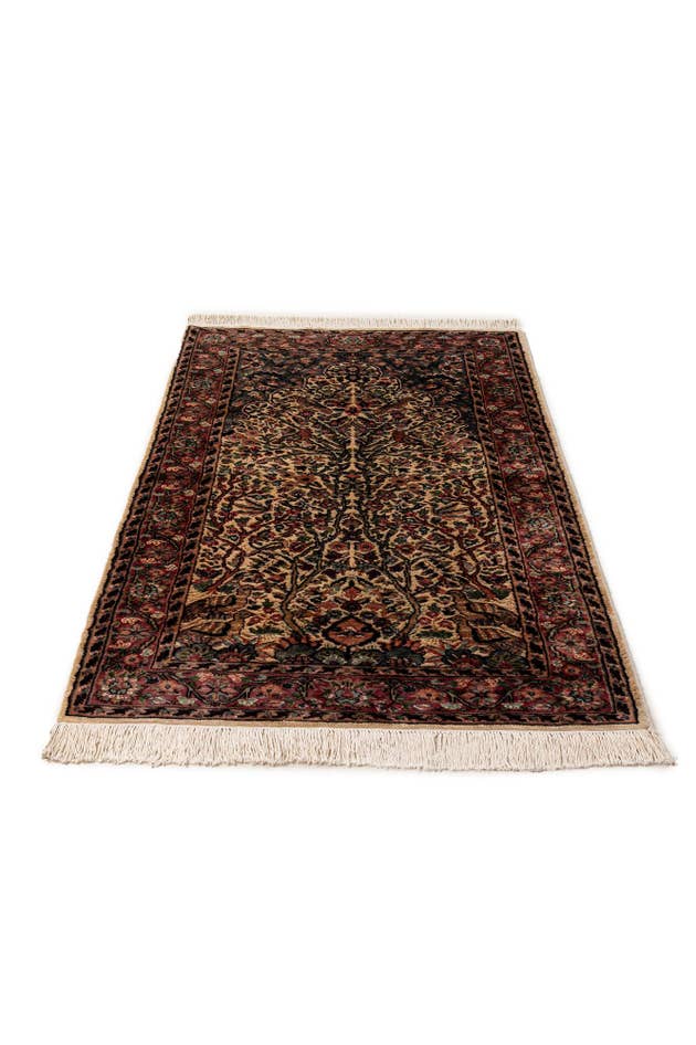 Detail image of 3' 2 x 5' 3 Hand Knotted Kashmir Oriental Rug