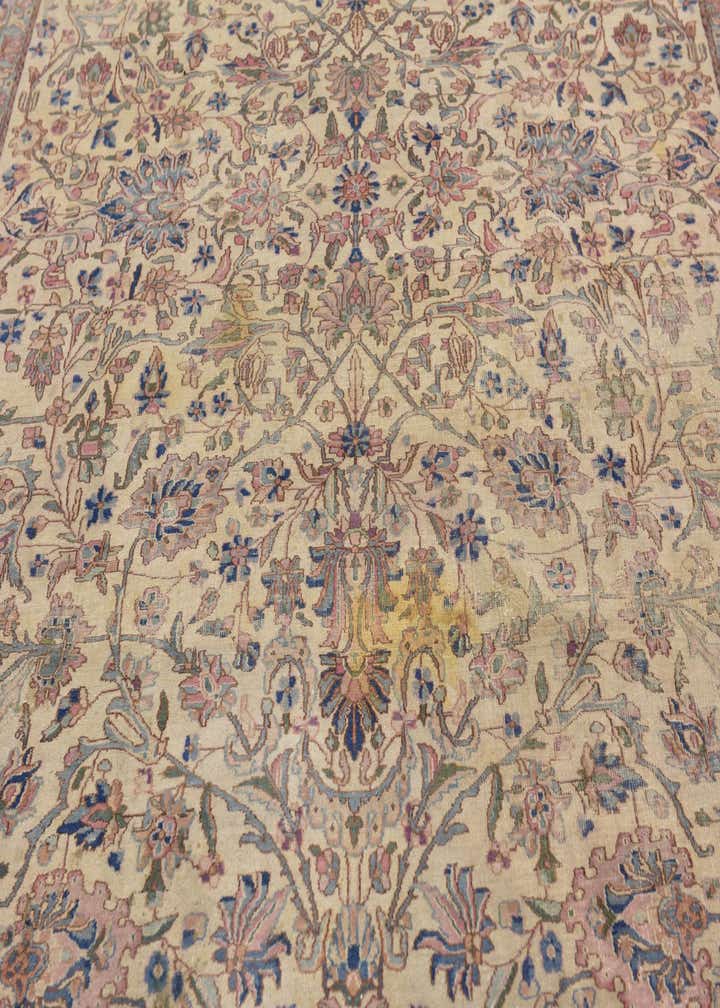 8' 3 x 11' 10 Hand Knotted Kerman Persian Wool Rug