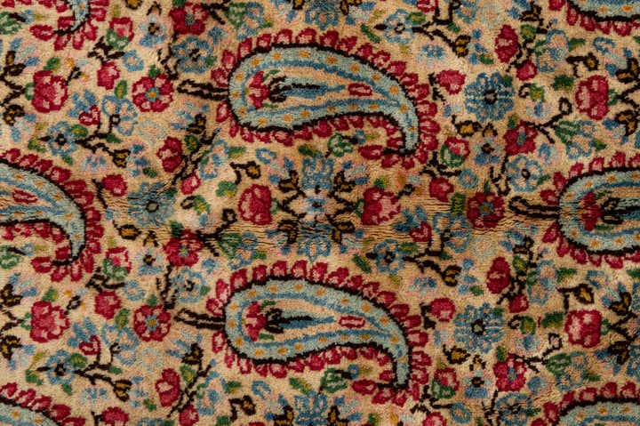9' 11 x 13' 7 Hand Knotted Kerman Persian Wool Rug