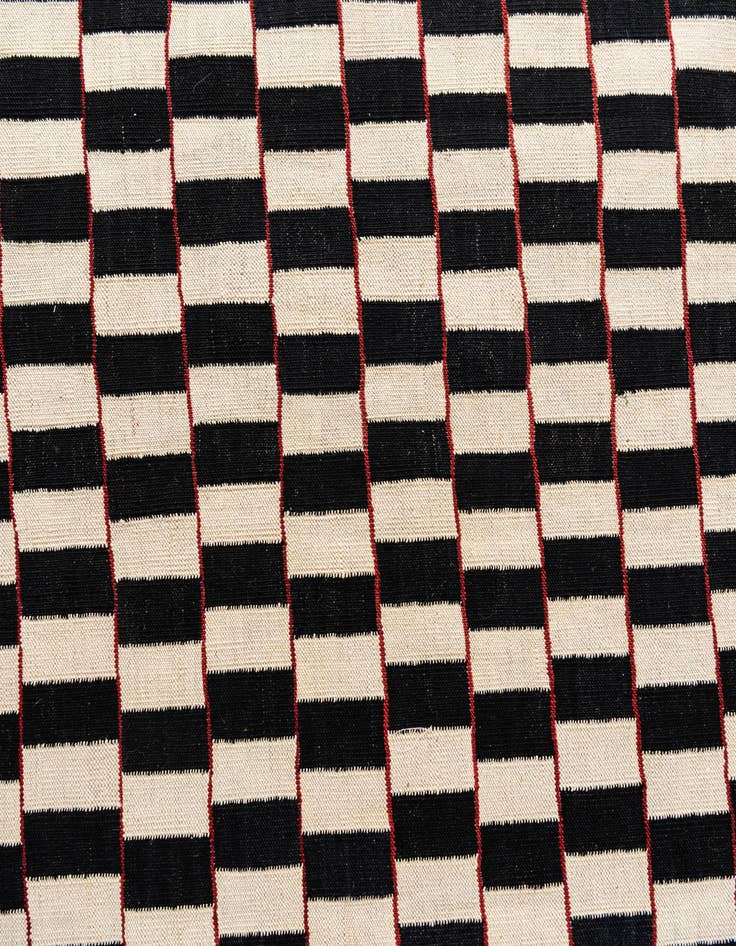 Detail image of 6' 9 x 9' 7  Hand Woven Kilim Modern Wool Rug