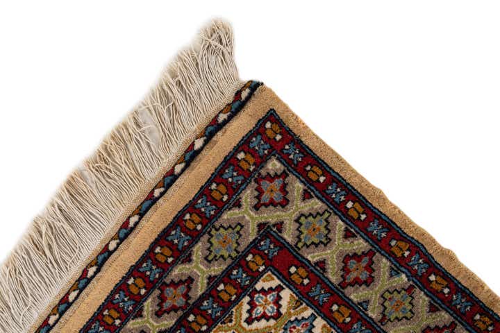 3' 1 x 4' 7 Hand Knotted Lahour Oriental Wool Rug