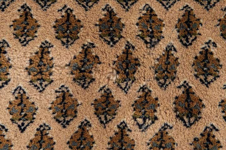 9' 11 x 13' 1 Hand Knotted Mir Oriental Wool Rug