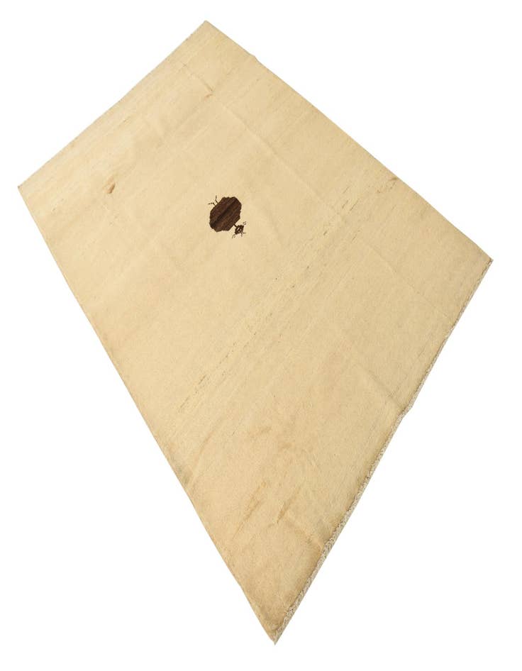 Detail image of 4' 1 x 6' 1  Hand Knotted Modern Ziegler Rug