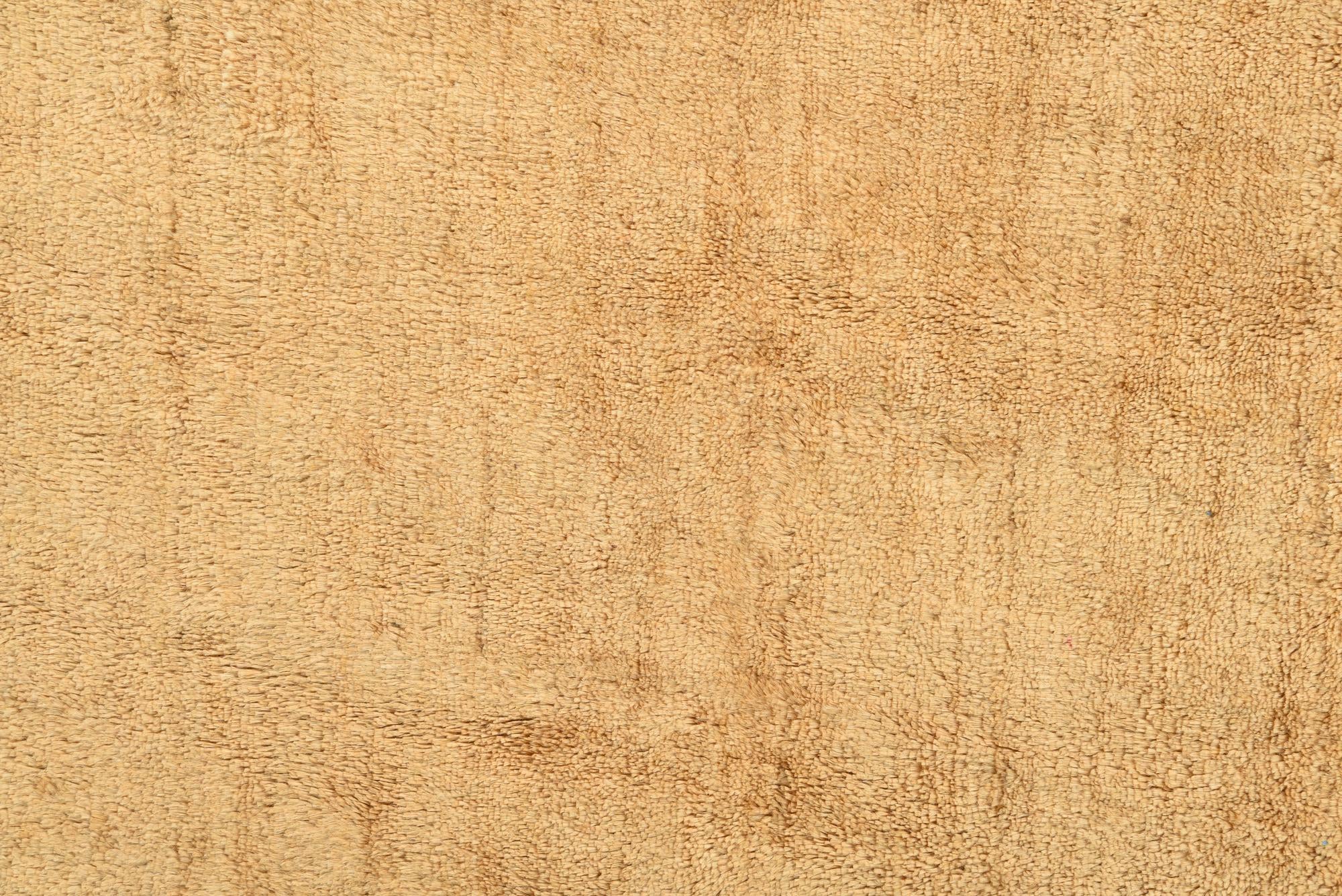 2' 5 x 4' Hand Knotted Modern Ziegler Rug
