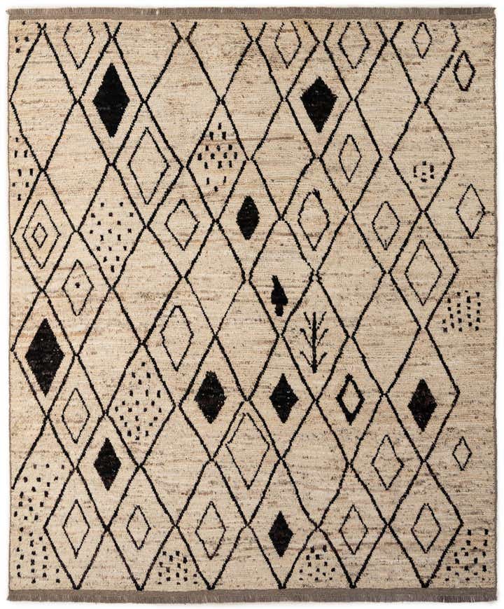 8' 2 x 9' 11 Hand Knotted Moroccan Wool Rug