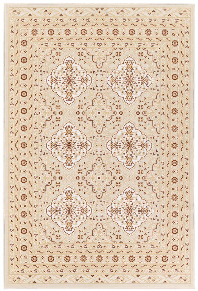 Detail image of 5' x 7' 8 Nain Design Rug