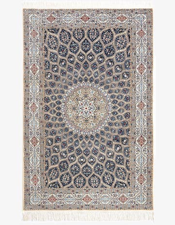 4' 9 x 7' 7 Nain Rug