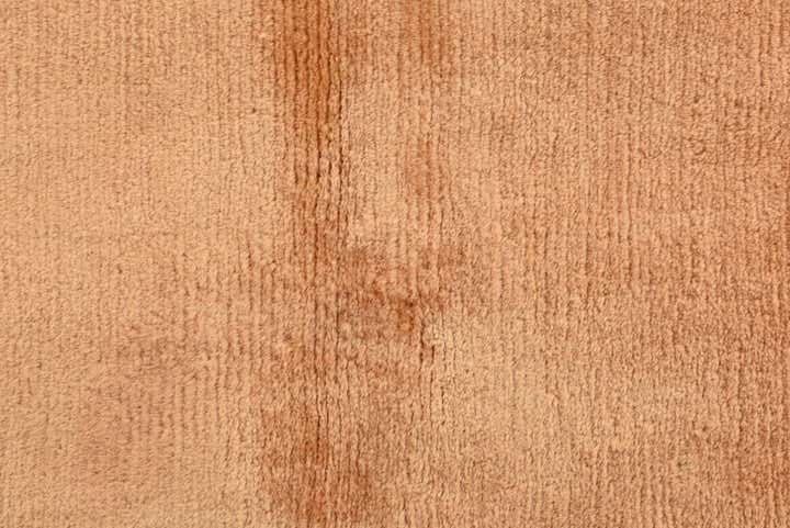 2' 5 x 4' 7 Hand Knotted Nepal Wool Rug