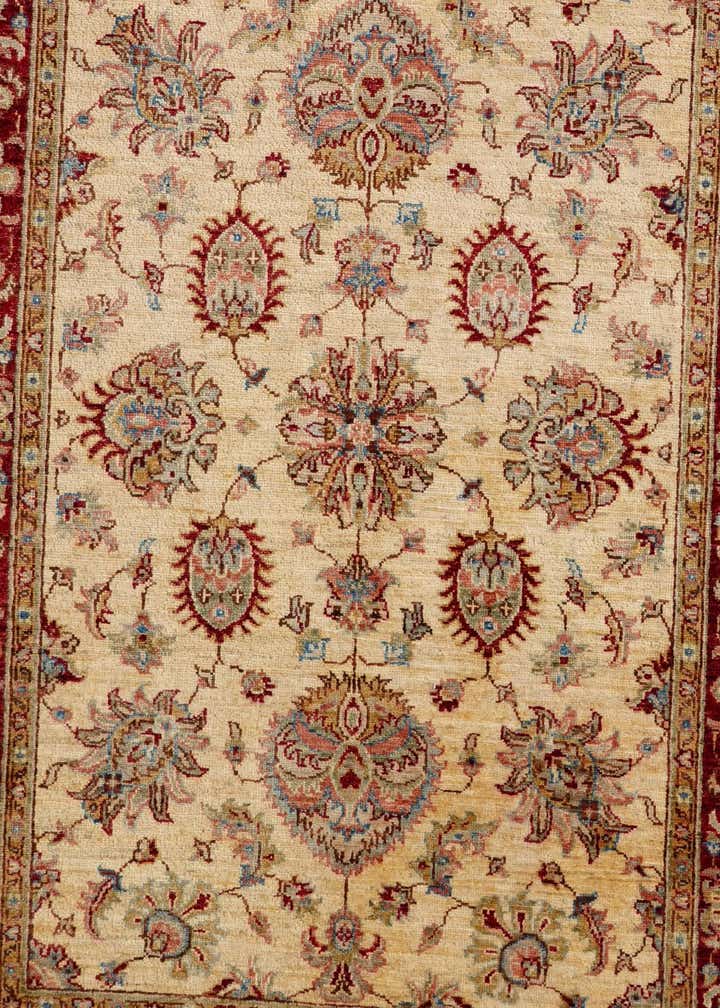 4' 2 x 6' 3 Hand Knotted Pershawar Ziegler Rug