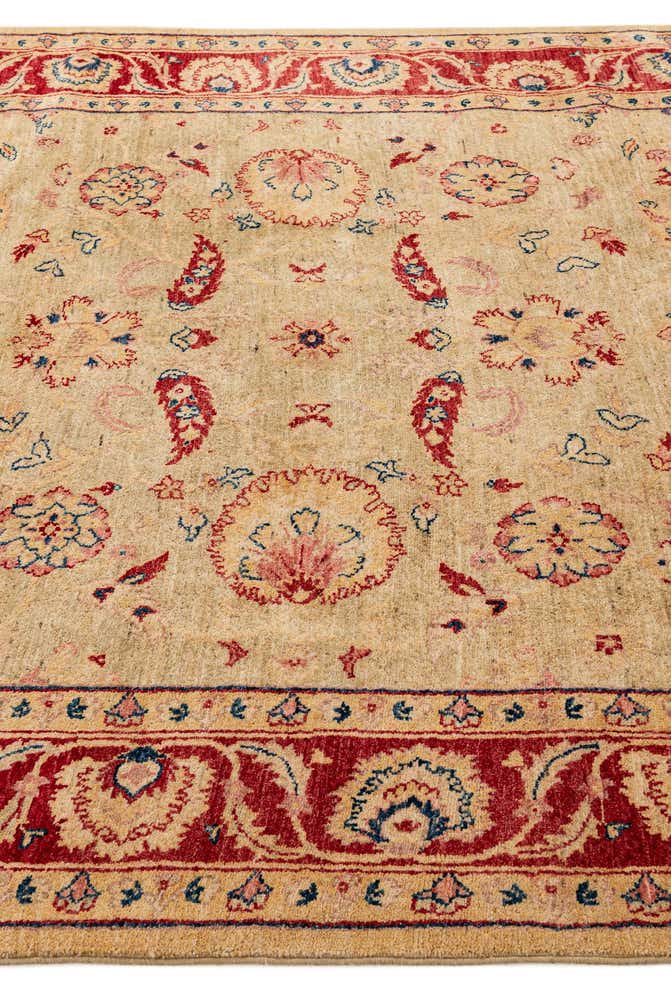 6' 4 x 9' 6 Hand Knotted Peshawar Ziegler Wool Rug