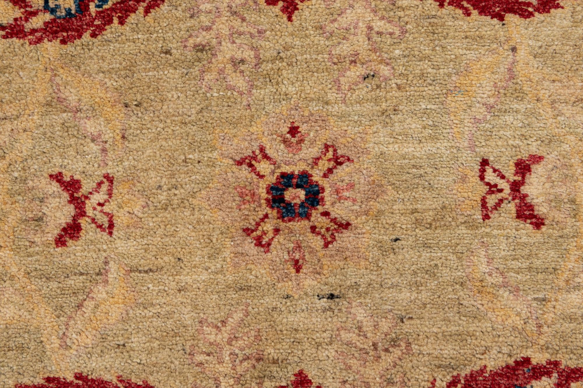 6' 4 x 9' 6 Hand Knotted Peshawar Ziegler Wool Rug