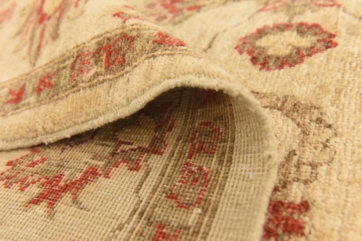6' x 8' 3 Hand Knotted Peshawar Ziegler Rug