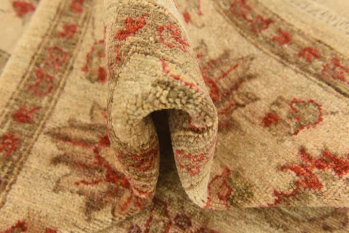 6' x 8' 3 Hand Knotted Peshawar Ziegler Rug