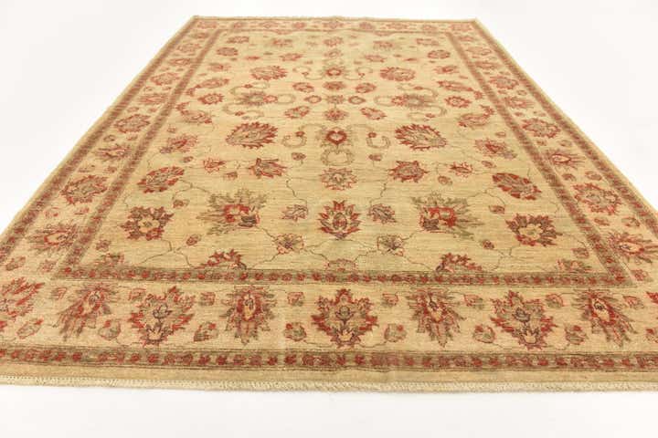 6' x 8' 3 Hand Knotted Peshawar Ziegler Rug