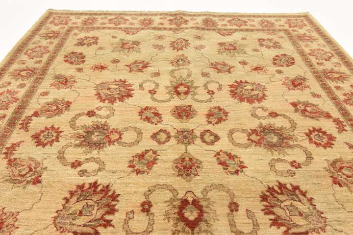6' x 8' 3 Hand Knotted Peshawar Ziegler Rug
