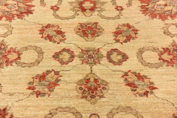 6' x 8' 3 Hand Knotted Peshawar Ziegler Rug