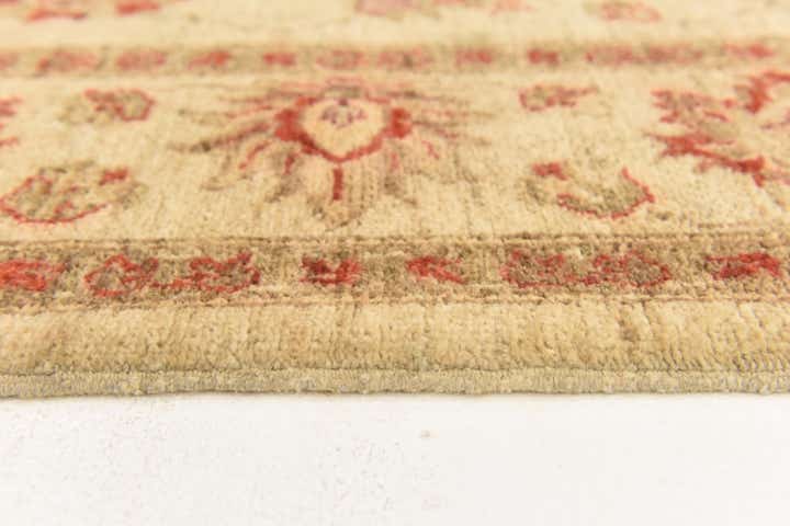 6' x 8' 3 Hand Knotted Peshawar Ziegler Rug