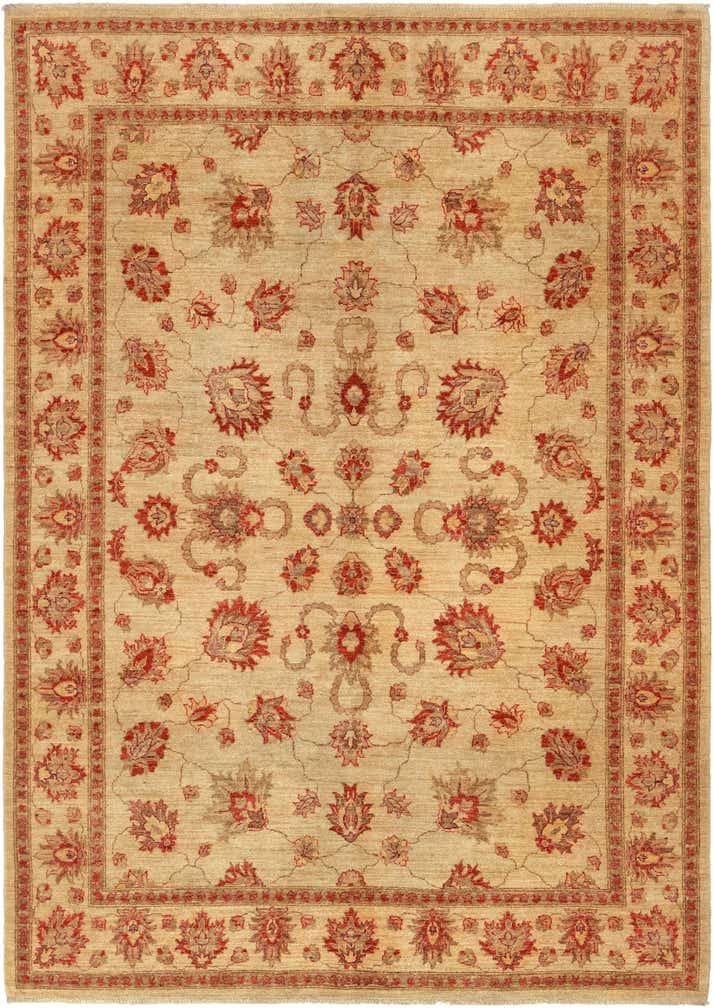 6' x 8' 3 Hand Knotted Peshawar Ziegler Rug