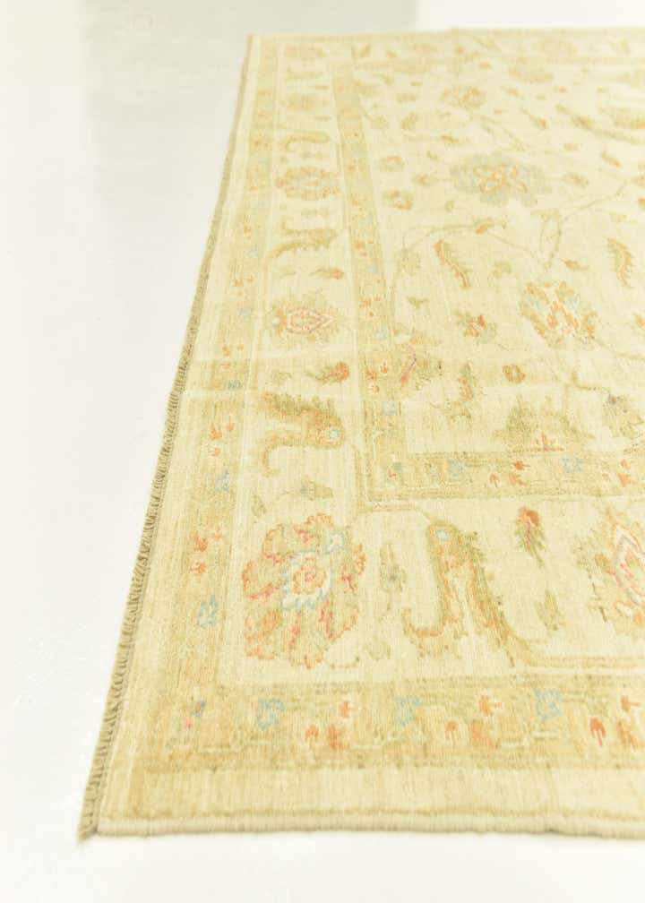 6' 7 x 9' 7 Hand Knotted Peshawar Ziegler Rug