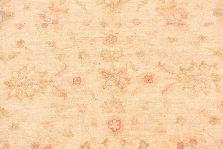 4' 1 x 5' 9 Hand Knotted Peshawar Ziegler Rug