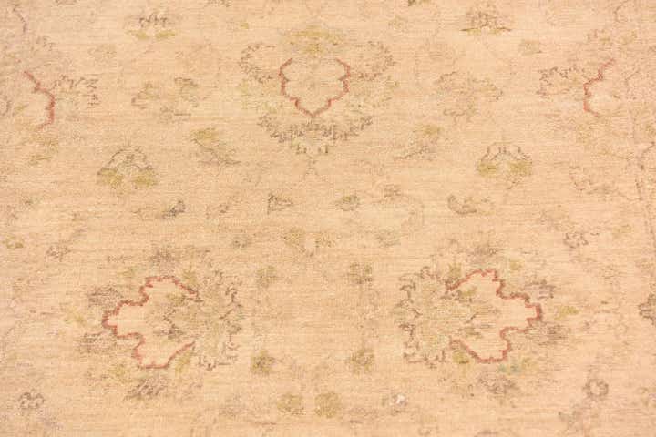 4' x 6' 1 Hand Knotted Peshawar Ziegler Rug