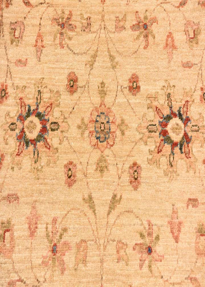 4' x 6' Hand Knotted Peshawar Ziegler Rug
