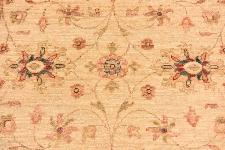 4' x 6' Hand Knotted Peshawar Ziegler Rug