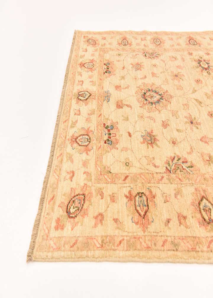 4' x 6' Hand Knotted Peshawar Ziegler Rug