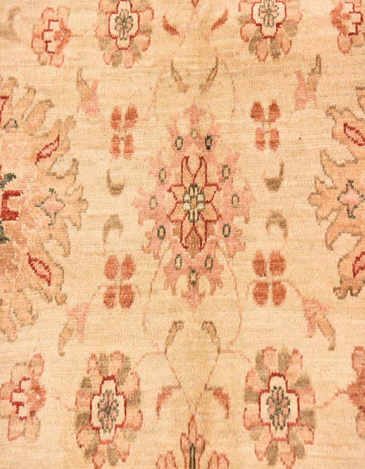 Detail image of 9' 9 x 12' 9  Hand Knotted Peshawar Ziegler Rug
