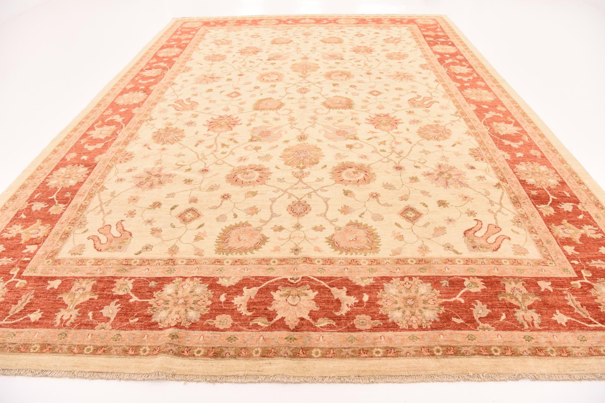 10' x 13' 9 Hand Knotted Peshawar Ziegler Rug